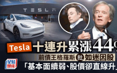 Tesla十連升累漲44% 前債王格羅斯批如迷因股 「基本面續弱、股價卻直線升」