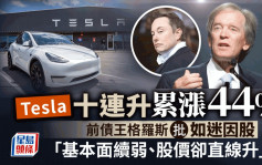 Tesla十连升累涨44% 前债王格罗斯批如迷因股 「基本面续弱、股价却直线升」