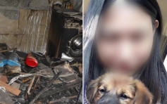 上海殺妻焚屍案揭愛犬救主衝入火海犧牲 網民：真是人不如狗