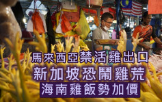 馬來西亞防雞荒禁活雞出口 新加坡民眾憂雞飯加價