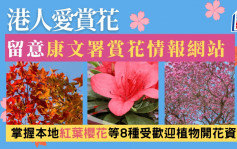 康文署推出赏花情报网站 定时更新8种受欢迎植物包括红叶樱花等开花资讯