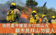 清明节｜消防处接至少12宗山火 吁市民拜山勿留火种