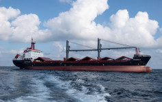 俄烏局勢｜半年來首艘外國貨輪駛進烏克蘭黑海港口 準備裝上穀物