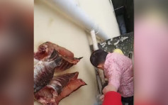 湖北媽媽為撿魚手拉男童陽台外 網民：魚才是親生的？
