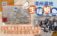 颱風杜蘇芮｜打風後漳州遍地生蠔鮑魚 居民出動桶及網兜也撿不完
