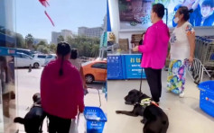 海南有超市拒绝盲人带导盲犬购物 网民：期盼早日正名