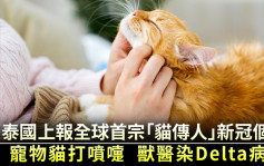 猫奴注意｜泰国上报全球首宗「猫传人」新冠个案 宠物猫打喷嚏兽医染Delta病毒