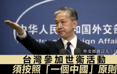 汪文斌：民进党导致台湾参加WHA基础不复存在