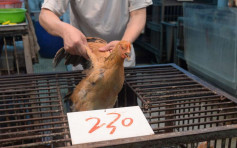 衞生防护中心密切监察惠州男子感染H5N6禽流感个案