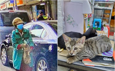 深水埗汝州街发生偷猫案 一名女子疑盗去店铺猫