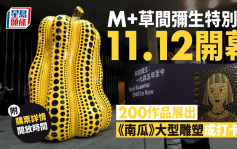 M+｜草間彌生特別展11.12開幕 《南瓜》大型雕塑最搶眼 門票最平150元
