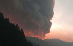 加州内华达州连日多宗山火 2500户紧急疏散