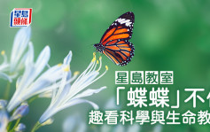 「蝶蝶」不休 趣看科學與生命教育｜星島教室