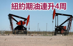 中國擬釋戰略油儲 紐約期油連升4周
