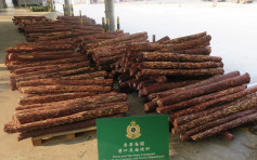 大馬抵港貨櫃 搜獲市值930萬檀香紫檀木材