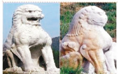 陝西唐代陵墓石獅10年前被盜 懸賞增至百萬緝犯