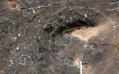 浙江兰溪发现一亿年前恐龙脚印　却被村民用水泥「封印」