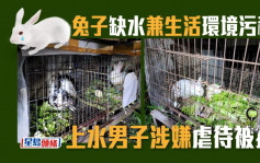 兔子缺水兼生活環境污穢 上水男子涉虐畜被捕獲准保釋
