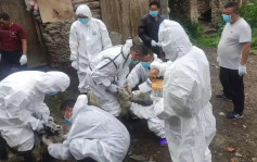 寧夏銀川45歲牧民染鼠疫 為內蒙古輸入病例