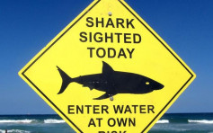 澳洲東部滑浪青年被鯊魚襲擊致死