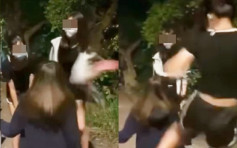 天水圍童黨狂摑少女逾30巴 13歲少女被捕中三學生自首