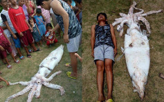菲律賓漁民捕獲2.4米長巨型魷魚 漁民：肯定特別好味