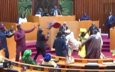 掌掴飞踢怀孕女议员 塞内加尔两男议员被判入狱 6 个月
