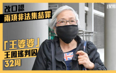 示威常客「王婆婆」改口认两项非法集结罪 判囚32周