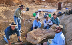 昆士蘭發現新恐龍化石 為澳洲最大型品種