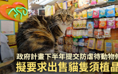 政府將於下半年提交防虐待動物修例 出售貓隻擬須植晶片 