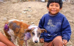 秘鲁善心聋哑童 每周坚持带遭烫伤流浪狗求医
