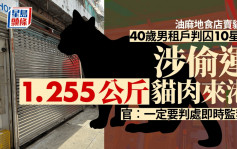 油麻地食店賣貓肉 40歲男租戶被判囚10星期 涉偷運1.255公斤貓肉進入本港