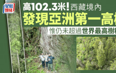 102.3米！西藏境內發現亞洲第一高樹