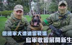 俄乌局势｜俄军犬遭遗弃乌军收留 重新训练展开新任务 