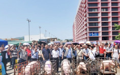 【非洲猪瘟】推6光猪屠房外抗议 业界下午政总与官员会面