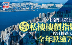 差估署去年12月楼价指数按月转跌0.6% 全年跌逾7% 分析料楼价下半年回升