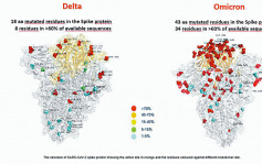 Omicron照首曝光 變異傳染力強Delta五倍