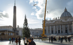 沙雕马槽揭幕圣诞树亮灯 梵蒂冈喜迎圣诞