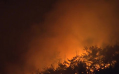 韩国釜山海云台区森林大火 延烧超过9小时