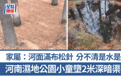 死神來了｜河南濕地公園暗藏奪命陷阱  小童誤踏鋪滿松針河溝溺斃