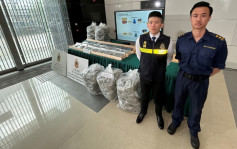 海關偵破海運木製地板藏毒案 檢60公斤大麻花市值1300萬元拘3男