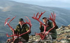 挪威獵人殺馴鹿「賀聖誕」 高舉血色鹿角惹爭議
