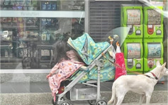 家長疑因進便利店購物 獨留女童店外坐嬰兒車惹議