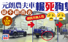 車Cam直擊｜元朗狗隻遭農夫車輾斃 司機疑不顧而去 網民斥無人性