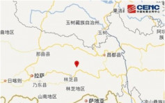 西藏林芝市波密縣4.3級地震 豬從豬圈跑出