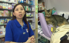 貓店長波子遭「預約拘捕」 職員引述女事主：一定要搞大件事