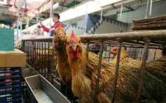 港府接内地通報 確診全球首宗人類感染H7N4甲型禽流感