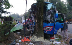 台旅巴失控撼樹釀1死23傷 乘客慘被拋出車外