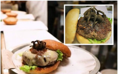美餐廳搞噱頭推斑馬狼蛛漢堡 大膽食客抽籤爭食