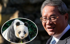 熊猫外交︱李强到访南澳阿德莱德  宣布将提供另一对大熊猫